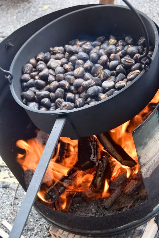 Arcegno Castagne 2014 004