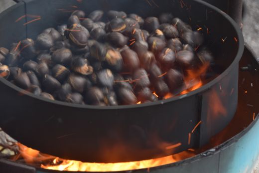 Arcegno Castagne 2014 014