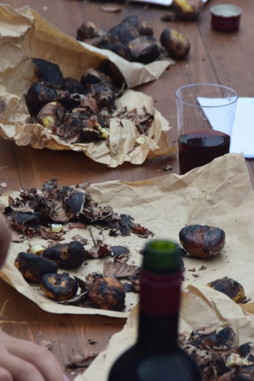 Arcegno Castagne 2014 019