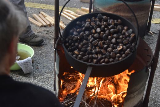 Arcegno Castagne 2014 016