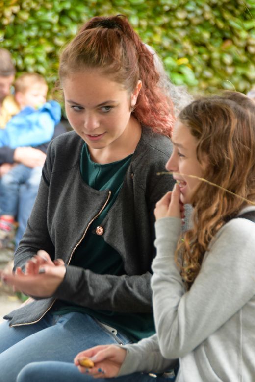 Arcegno Castagne 2014 037