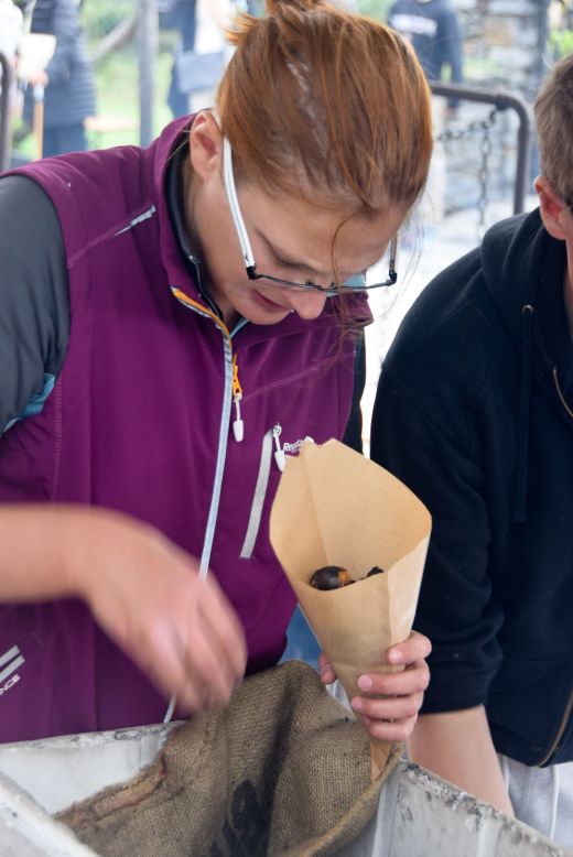 Arcegno Castagne 2014 021