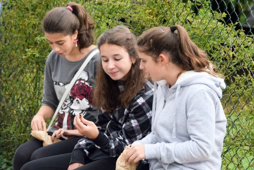 Arcegno Castagne 2014 031