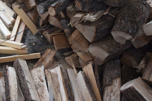 Arcegno Castagne 2014 003