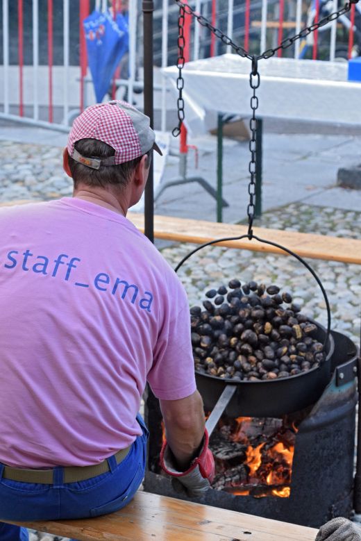 Arcegno Castagne 2016-012