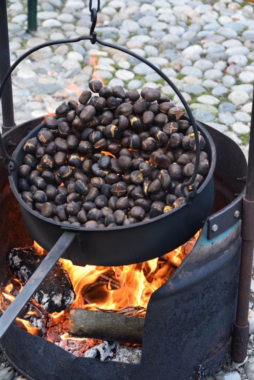 Arcegno Castagne 2016-016