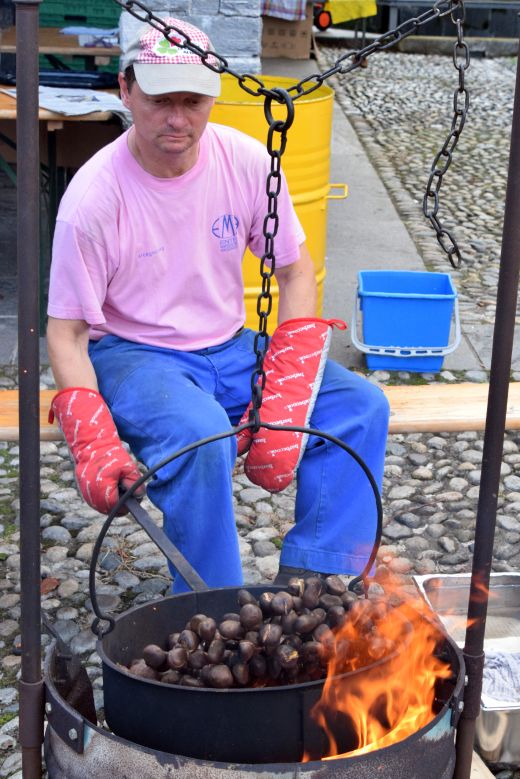 Arcegno Castagne 2016-007