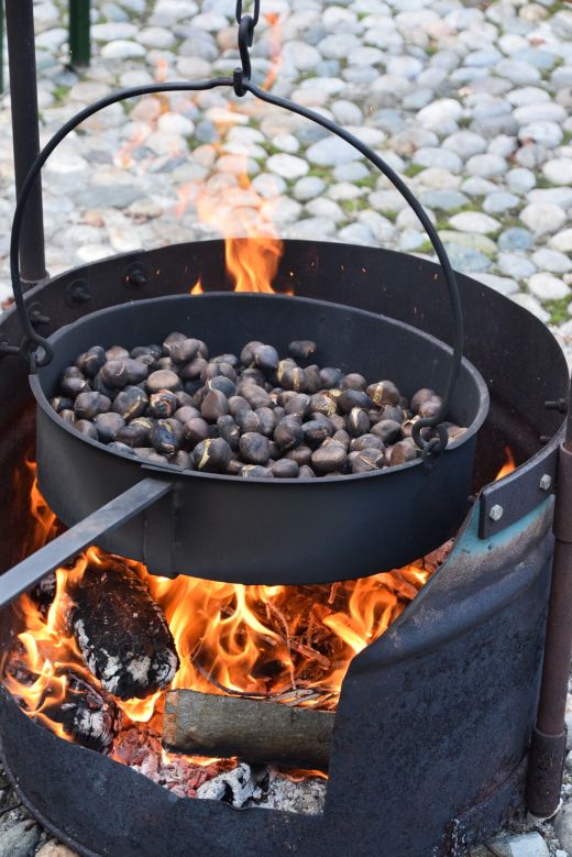 Arcegno Castagne 2016-008