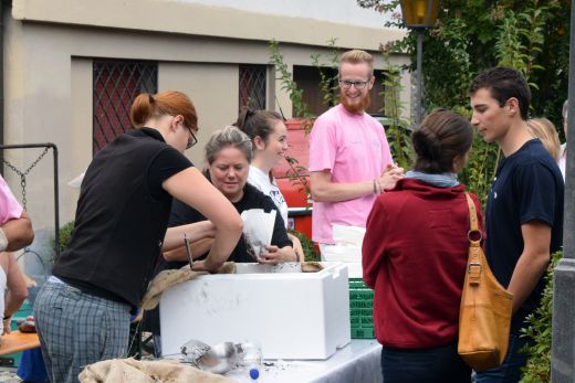 Arcegno Castagne 2016-020