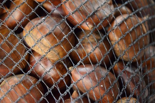 Arcegno-Castagne-2017-10-01