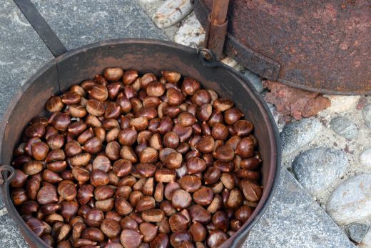 Arcegno-Castagne-2017-10-02