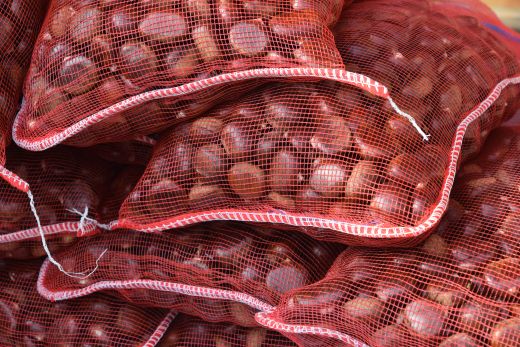 Arcegno-Castagne-2019-10-06-004