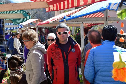 Arcegno-Primavera-2015-12