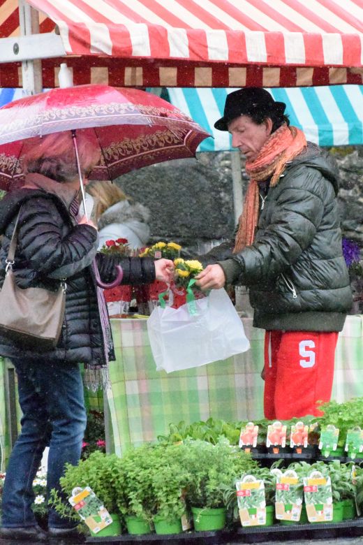 Arcegno-Primavera-2016-02