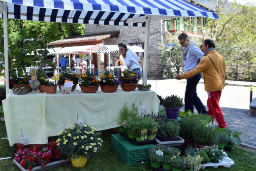 Arcegno Primavera 2017-007