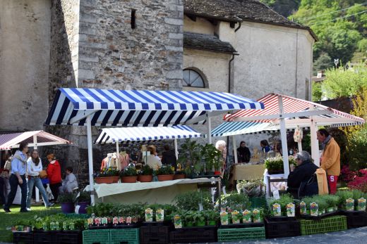 Arcegno Primavera 2017-003