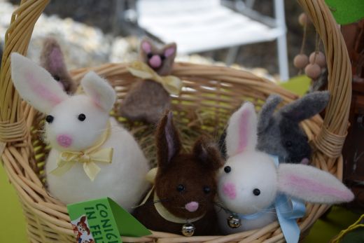 Arcegno Primavera 2017-024