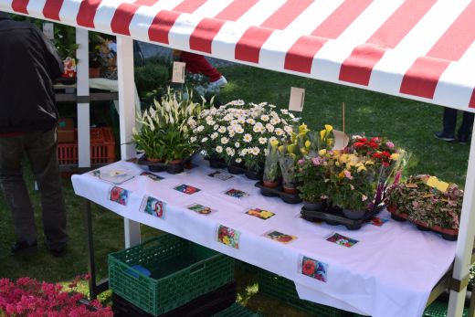 Arcegno Primavera 2017-005